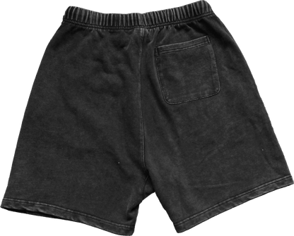shorts pistol 360